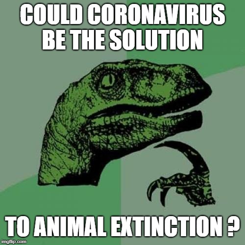 Philosoraptor Meme | COULD CORONAVIRUS
BE THE SOLUTION; TO ANIMAL EXTINCTION ? | image tagged in memes,philosoraptor | made w/ Imgflip meme maker