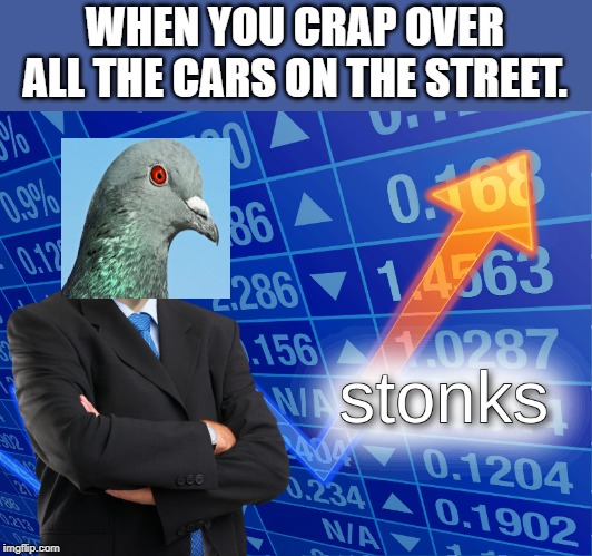 pigeon stonks | WHEN YOU CRAP OVER ALL THE CARS ON THE STREET. | image tagged in stonks | made w/ Imgflip meme maker