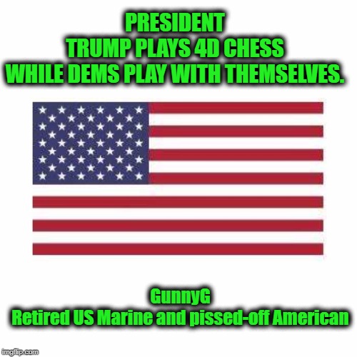 Brilliant Patriot vs Incompetent Fools | PRESIDENT TRUMP PLAYS 4D CHESS WHILE DEMS PLAY WITH THEMSELVES. GunnyG
Retired US Marine and pissed-off American | image tagged in politics,political meme,politics lol,politicians,donald trump,political memes | made w/ Imgflip meme maker