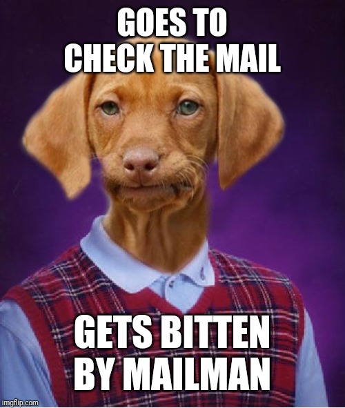 Bad Luck Raydog | GOES TO CHECK THE MAIL; GETS BITTEN BY MAILMAN | image tagged in bad luck raydog | made w/ Imgflip meme maker