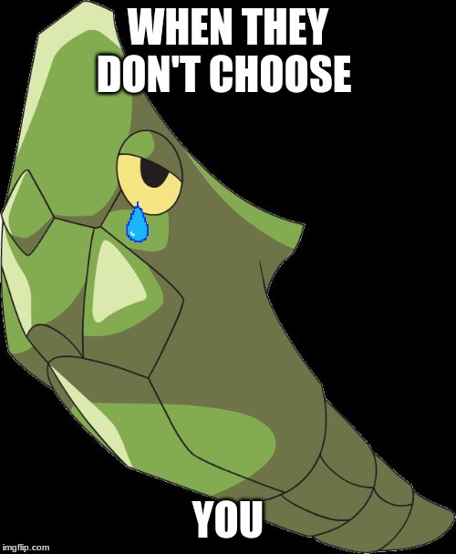 Metapod | WHEN THEY DON'T CHOOSE; YOU | image tagged in metapod | made w/ Imgflip meme maker