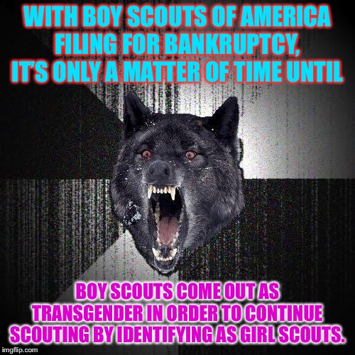 Boy Scouts of America in transition | WITH BOY SCOUTS OF AMERICA FILING FOR BANKRUPTCY, IT’S ONLY A MATTER OF TIME UNTIL; BOY SCOUTS COME OUT AS TRANSGENDER IN ORDER TO CONTINUE SCOUTING BY IDENTIFYING AS GIRL SCOUTS. | image tagged in memes,insanity wolf,transgender,boy scouts,girl,money | made w/ Imgflip meme maker