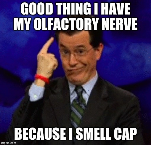why tho | GOOD THING I HAVE MY OLFACTORY NERVE; BECAUSE I SMELL CAP | image tagged in funny memes | made w/ Imgflip meme maker