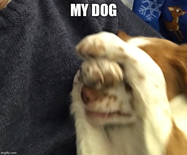 MY DOG | made w/ Imgflip meme maker