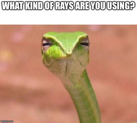 Skeptical snake | WHAT KIND OF RAYS ARE YOU USING? | image tagged in skeptical snake | made w/ Imgflip meme maker