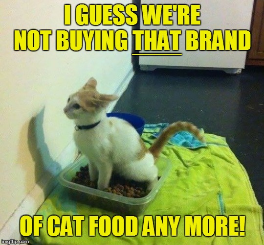 My cat hates me | I GUESS WE'RE NOT BUYING THAT BRAND; ____; OF CAT FOOD ANY MORE! | image tagged in funny | made w/ Imgflip meme maker