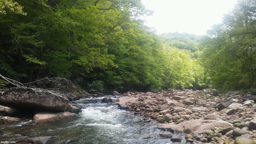 WV Mountain Stream | image tagged in wv mountain stream | made w/ Imgflip meme maker