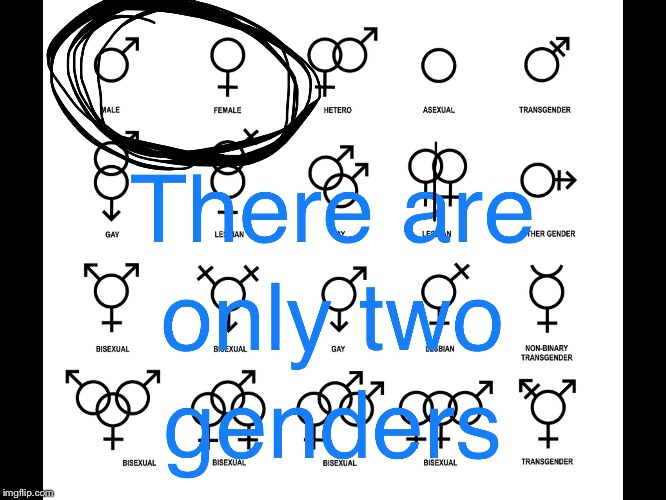 Only 2 genders | image tagged in gender | made w/ Imgflip meme maker
