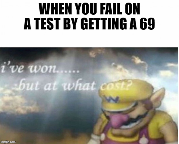 I won but at what cost | WHEN YOU FAIL ON A TEST BY GETTING A 69 | image tagged in i won but at what cost | made w/ Imgflip meme maker