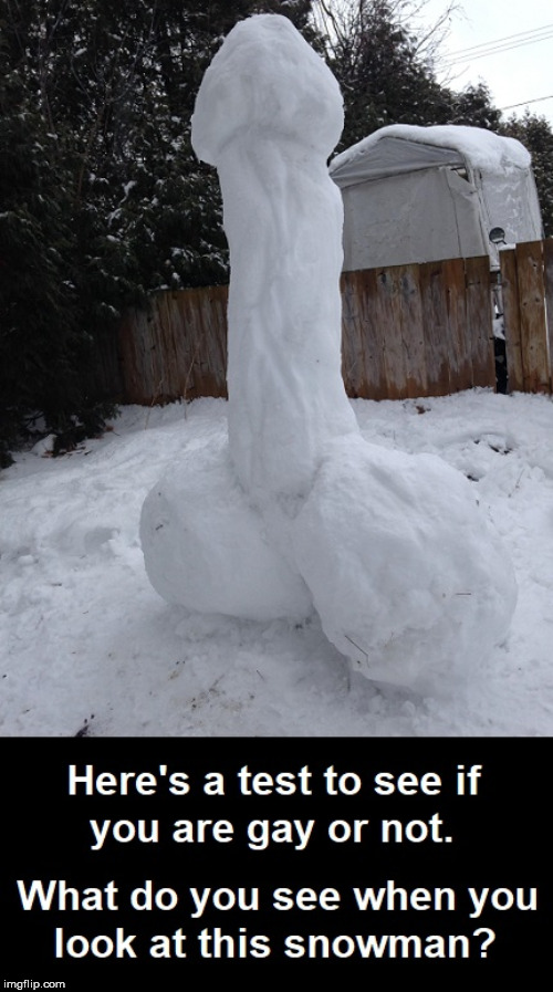 Frosty Has No Arms! | image tagged in funny memes,funny | made w/ Imgflip meme maker