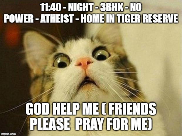 Scared Cat Meme | 11:40 - NIGHT - 3BHK - NO POWER - ATHEIST - HOME IN TIGER RESERVE; GOD HELP ME ( FRIENDS PLEASE  PRAY FOR ME) | image tagged in memes,scared cat | made w/ Imgflip meme maker