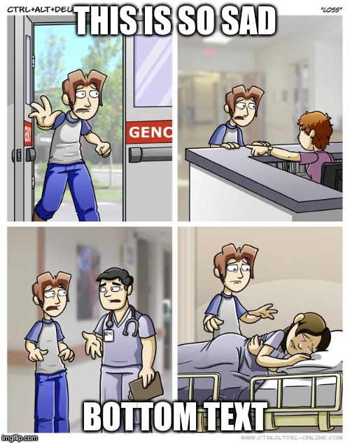 LOSS | THIS IS SO SAD; BOTTOM TEXT | image tagged in loss | made w/ Imgflip meme maker