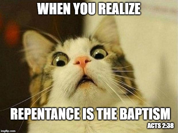 Scared Cat | WHEN YOU REALIZE; REPENTANCE IS THE BAPTISM; ACTS 2:38 | image tagged in memes,scared cat,repent,jesus,baptism | made w/ Imgflip meme maker