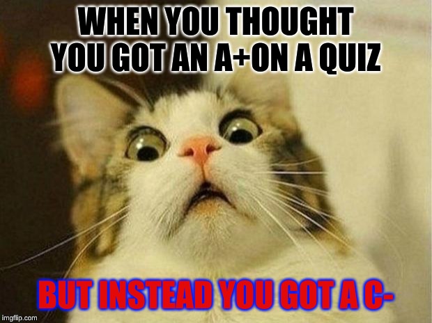 Scared Cat Meme | WHEN YOU THOUGHT YOU GOT AN A+ON A QUIZ; BUT INSTEAD YOU GOT A C- | image tagged in memes,scared cat | made w/ Imgflip meme maker