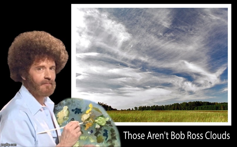 image tagged in bob ross | made w/ Imgflip meme maker