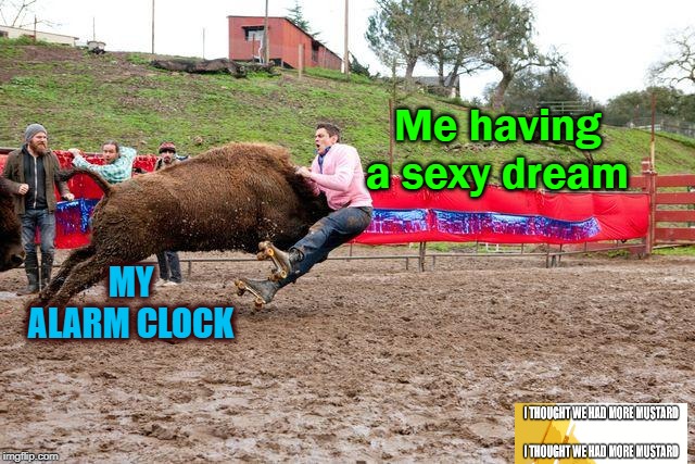 Sexy Dream Interrupted By Darn Alarm Clock | Me having a sexy dream; MY ALARM CLOCK | image tagged in rodeo,alarm clock,alarm,cowboy,sexy,sex | made w/ Imgflip meme maker