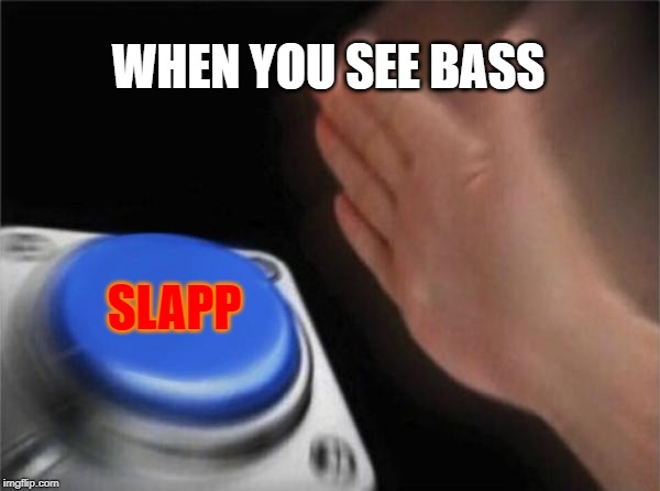 Blank Nut Button | WHEN YOU SEE BASS; SLAPP | image tagged in memes,blank nut button | made w/ Imgflip meme maker