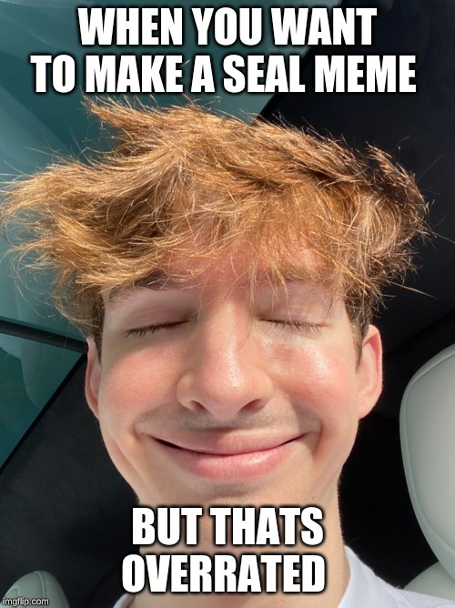 Suprised seal | WHEN YOU WANT TO MAKE A SEAL MEME; BUT THATS OVERRATED | image tagged in deep,dark,web | made w/ Imgflip meme maker
