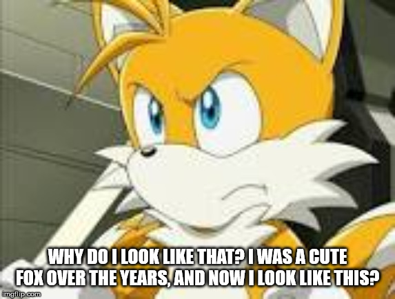 WHY DO I LOOK LIKE THAT? I WAS A CUTE FOX OVER THE YEARS, AND NOW I LOOK LIKE THIS? | made w/ Imgflip meme maker