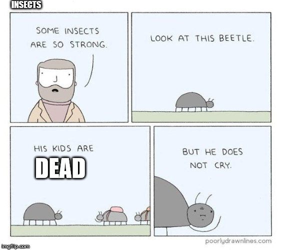 Some Insects are so Strong [Correct Text Position] | INSECTS; DEAD | image tagged in some insects are so strong | made w/ Imgflip meme maker