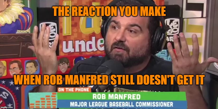 Rob Manfred: Stupid is as stupid does. |  THE REACTION YOU MAKE; WHEN ROB MANFRED STILL DOESN'T GET IT | image tagged in memes,mlb baseball,manfred,lebatard wtf,special kind of stupid,wtf | made w/ Imgflip meme maker