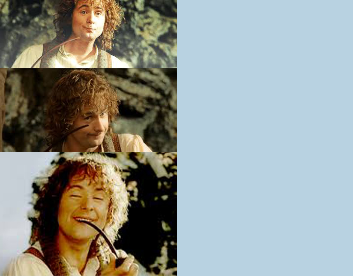 High Quality Pippin Puffin Blank Meme Template