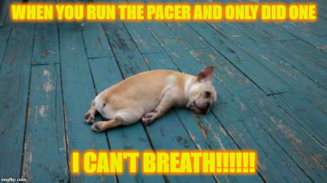 tired dog | WHEN YOU RUN THE PACER AND ONLY DID ONE; I CAN'T BREATH!!!!!! | image tagged in tired dog | made w/ Imgflip meme maker