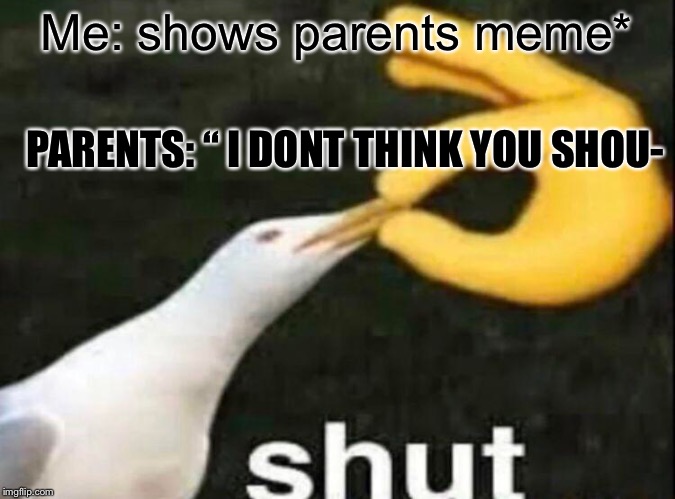 SHUT | Me: shows parents meme*; PARENTS: “ I DONT THINK YOU SHOU- | image tagged in shut | made w/ Imgflip meme maker
