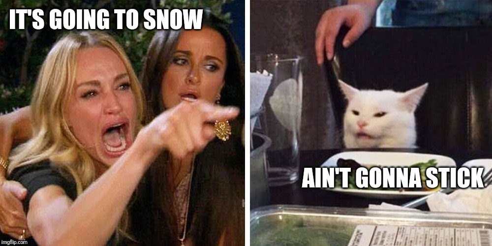 Smudge the cat | IT'S GOING TO SNOW; AIN'T GONNA STICK | image tagged in smudge the cat | made w/ Imgflip meme maker