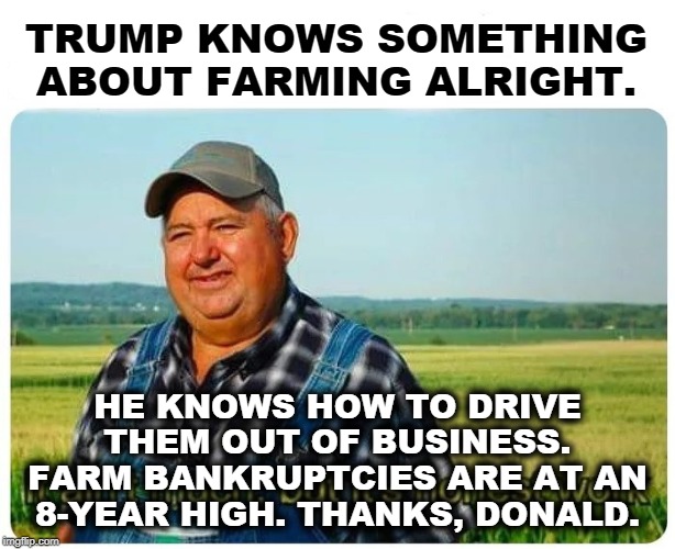 That certain special Trump something he brings to all his ventures - oh yeah, that's it, failure. The worst in 8 years. | TRUMP KNOWS SOMETHING ABOUT FARMING ALRIGHT. HE KNOWS HOW TO DRIVE THEM OUT OF BUSINESS. FARM BANKRUPTCIES ARE AT AN 8-YEAR HIGH. THANKS, DONALD. | image tagged in honest work,trump,farm,bankruptcy,failure | made w/ Imgflip meme maker