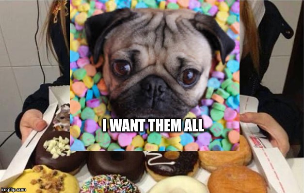 I WANT THEM ALL | image tagged in dogs,doughnuts | made w/ Imgflip meme maker