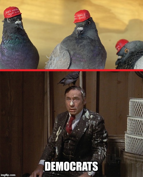 Aww...poop. | image tagged in pigeons,maga hat,mel brooks,high anxiety | made w/ Imgflip meme maker