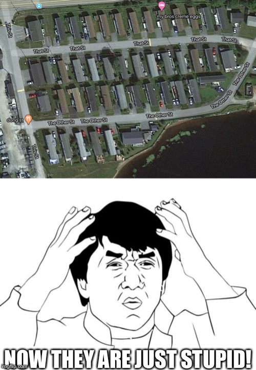 That street |  NOW THEY ARE JUST STUPID! | image tagged in memes,jackie chan wtf,funny,09pandaboy | made w/ Imgflip meme maker