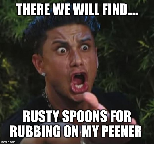 DJ Pauly D Meme | THERE WE WILL FIND.... RUSTY SPOONS FOR RUBBING ON MY PEENER | image tagged in memes,dj pauly d | made w/ Imgflip meme maker