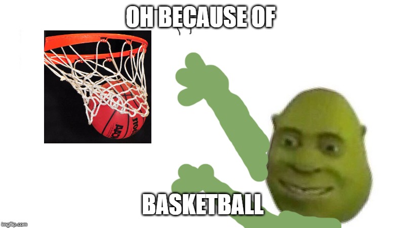 Shrek flex | OH BECAUSE OF BASKETBALL | image tagged in shrek flex | made w/ Imgflip meme maker