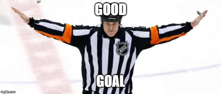 NHL Referee | GOOD; GOAL | image tagged in nhl referee | made w/ Imgflip meme maker