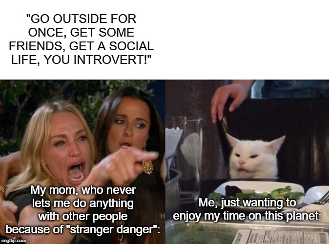 Irony 101 | "GO OUTSIDE FOR ONCE, GET SOME FRIENDS, GET A SOCIAL LIFE, YOU INTROVERT!"; My mom, who never lets me do anything with other people because of "stranger danger":; Me, just wanting to enjoy my time on this planet: | image tagged in memes,woman yelling at cat,mom,overprotective mom,irony | made w/ Imgflip meme maker