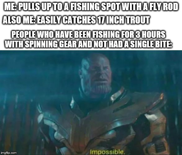 Thanos Impossible | ME: PULLS UP TO A FISHING SPOT WITH A FLY ROD; ALSO ME: EASILY CATCHES 17 INCH TROUT; PEOPLE WHO HAVE BEEN FISHING FOR 3 HOURS WITH SPINNING GEAR AND NOT HAD A SINGLE BITE: | image tagged in thanos impossible | made w/ Imgflip meme maker