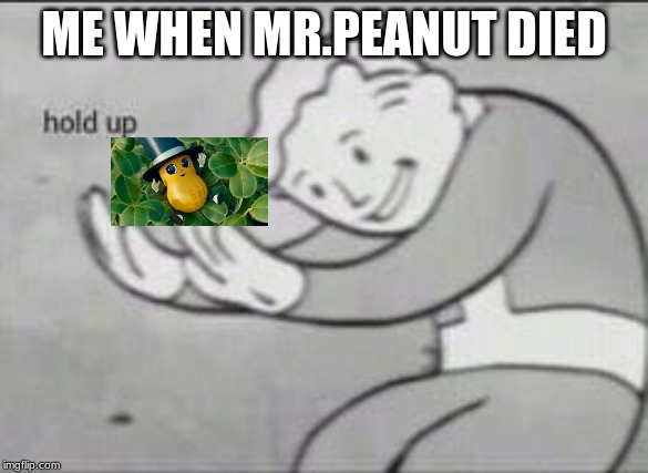 Fallout Hold Up | ME WHEN MR.PEANUT DIED | image tagged in fallout hold up | made w/ Imgflip meme maker