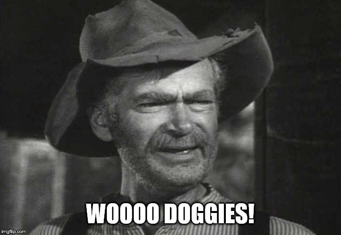 JED CLAMPETT | WOOOO DOGGIES! | image tagged in jed clampett | made w/ Imgflip meme maker