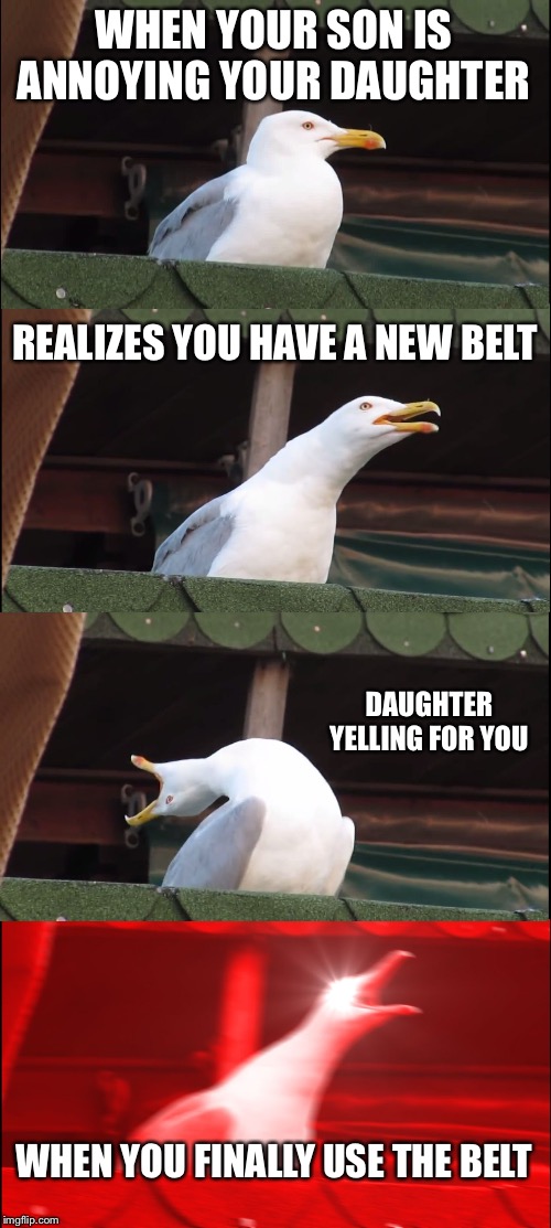 Inhaling Seagull Meme | WHEN YOUR SON IS ANNOYING YOUR DAUGHTER; REALIZES YOU HAVE A NEW BELT; DAUGHTER YELLING FOR YOU; WHEN YOU FINALLY USE THE BELT | image tagged in memes,inhaling seagull | made w/ Imgflip meme maker
