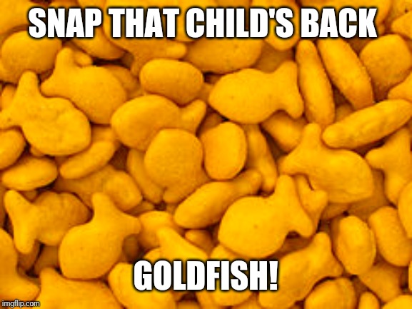 SNAP THAT CHILD'S BACK; GOLDFISH! | made w/ Imgflip meme maker