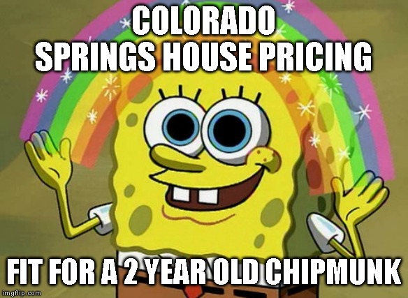 Imagination Spongebob Meme | COLORADO SPRINGS HOUSE PRICING; FIT FOR A 2 YEAR OLD CHIPMUNK | image tagged in memes,imagination spongebob | made w/ Imgflip meme maker