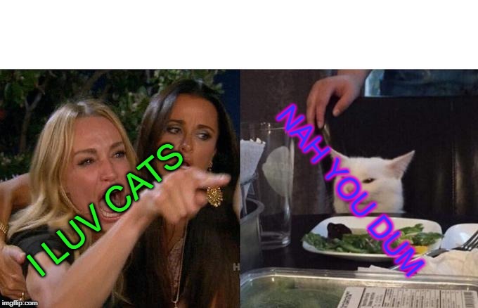 Woman Yelling At Cat | NAH YOU DUM; I LUV CATS | image tagged in memes,woman yelling at cat | made w/ Imgflip meme maker