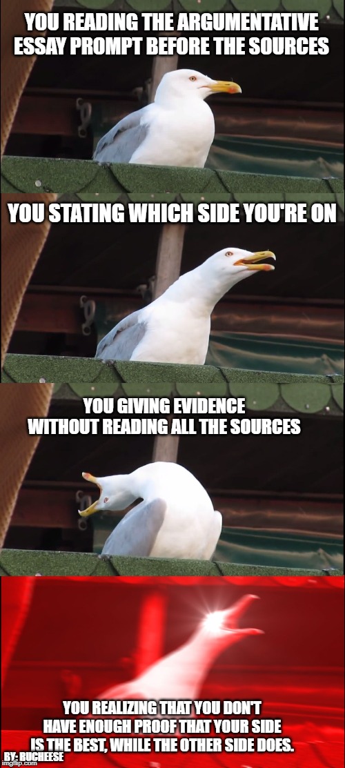 Inhaling Seagull | YOU READING THE ARGUMENTATIVE ESSAY PROMPT BEFORE THE SOURCES; YOU STATING WHICH SIDE YOU'RE ON; YOU GIVING EVIDENCE WITHOUT READING ALL THE SOURCES; YOU REALIZING THAT YOU DON'T HAVE ENOUGH PROOF THAT YOUR SIDE IS THE BEST, WHILE THE OTHER SIDE DOES. BY: RUCHEESE | image tagged in memes,inhaling seagull | made w/ Imgflip meme maker