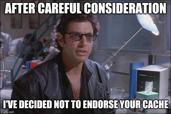 I've decided not to endorse your cache | AFTER CAREFUL CONSIDERATION; I'VE DECIDED NOT TO ENDORSE YOUR CACHE | image tagged in dr ian malcom jeff goldblum,cache,endorse,careful consideration | made w/ Imgflip meme maker