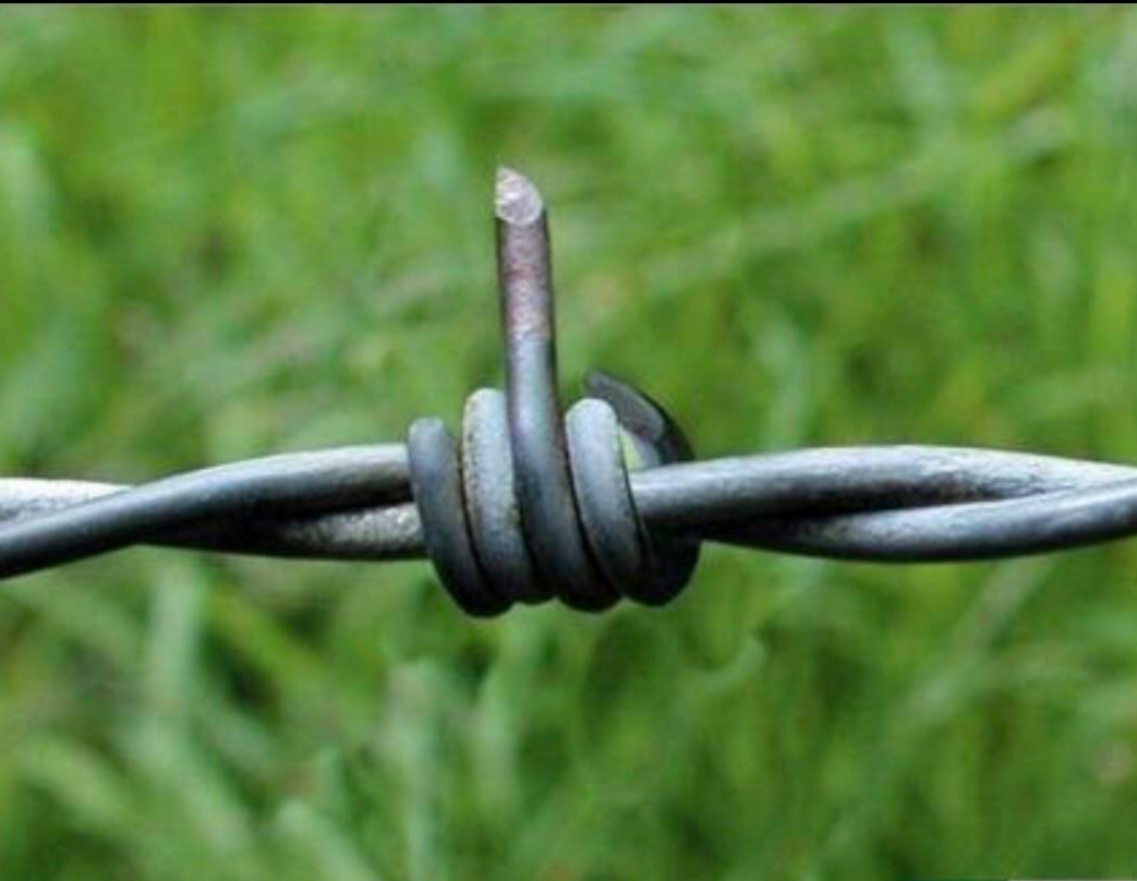 barbed wire bird flip Blank Meme Template