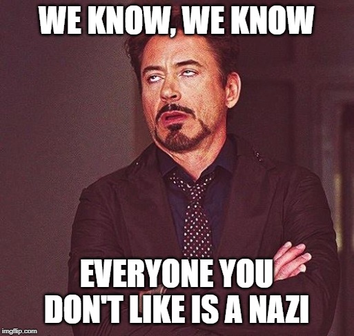 Robert Downey Jr Annoyed | WE KNOW, WE KNOW EVERYONE YOU DON'T LIKE IS A NAZI | image tagged in robert downey jr annoyed | made w/ Imgflip meme maker