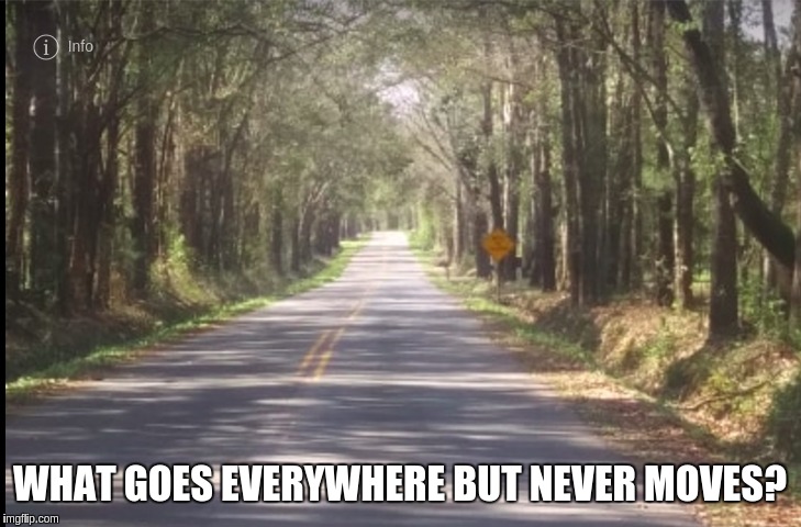 Just another riddle!! | WHAT GOES EVERYWHERE BUT NEVER MOVES? | image tagged in riddles and brainteasers,funny,fun | made w/ Imgflip meme maker