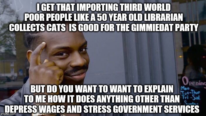 Roll Safe Think About It Meme | BUT DO YOU WANT TO WANT TO EXPLAIN TO ME HOW IT DOES ANYTHING OTHER THAN DEPRESS WAGES AND STRESS GOVERNMENT SERVICES I GET THAT IMPORTING T | image tagged in memes,roll safe think about it | made w/ Imgflip meme maker